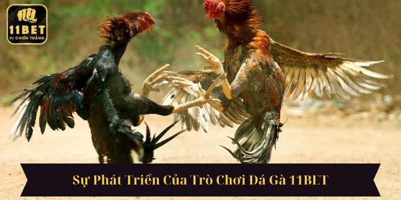 Sự Phát Triển Của Trò Chơi Đá Gà 11BET