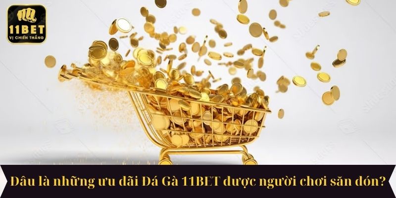 Đâu là những ưu đãi Đá Gà 11BET được người chơi săn đón?