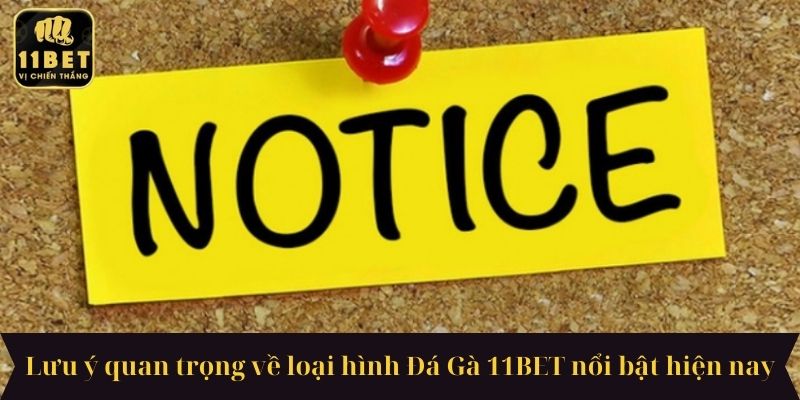 Lưu ý quan trọng về loại hình Đá Gà 11BET nổi bật hiện nay