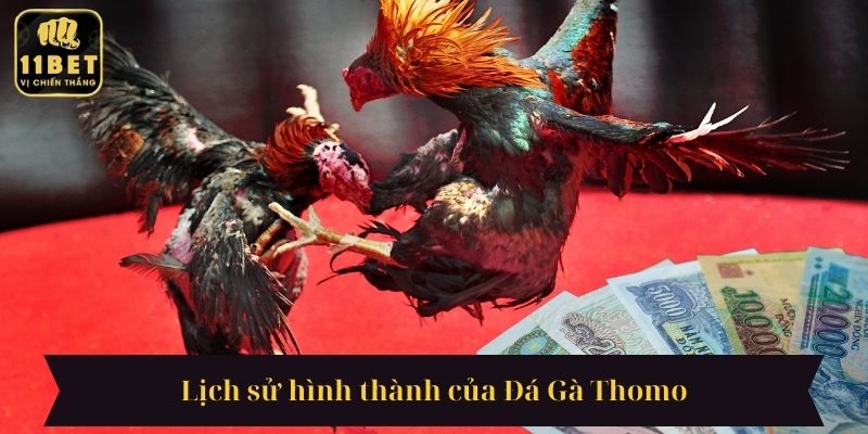 Lịch sử hình thành của Đá Gà Thomo