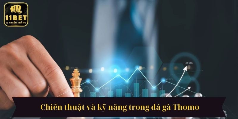  Chiến thuật và kỹ năng trong đá gà Thomo